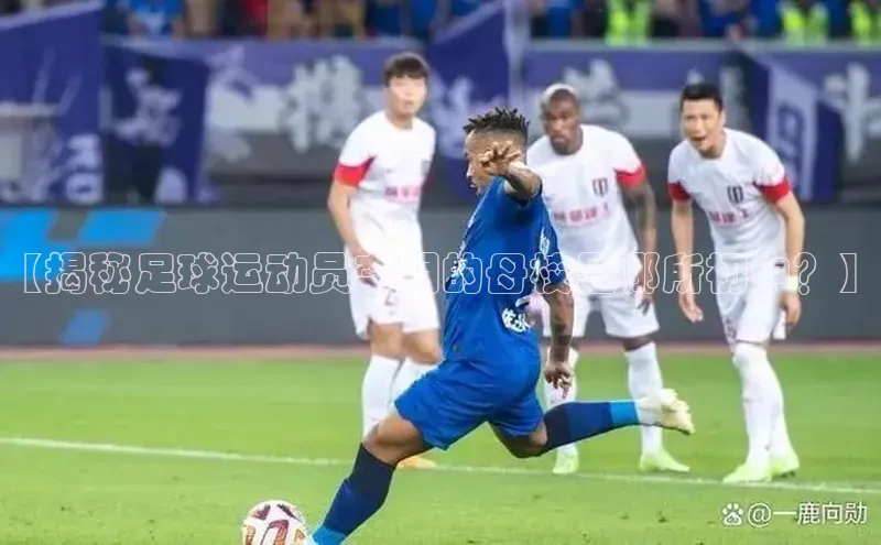 易游体育app下载雷柏科技【揭秘足球运动员李明的母校是哪所初中？】