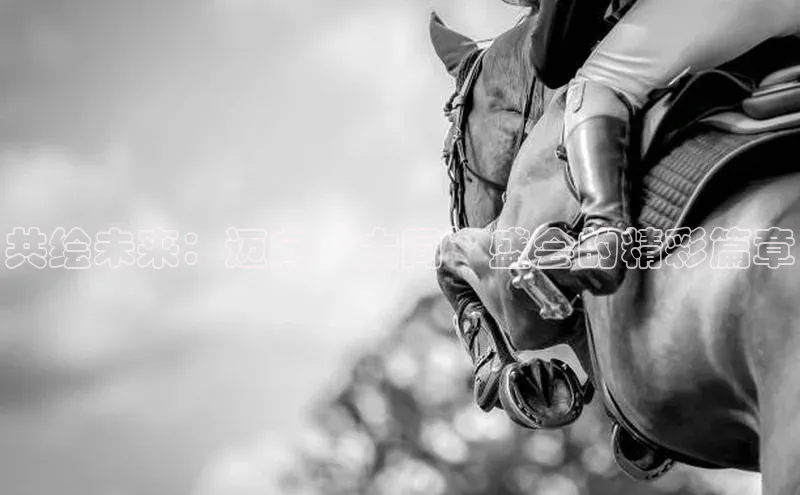 米乐·M6官网京东共绘未来：迈向‘大同’盛会的精彩篇章