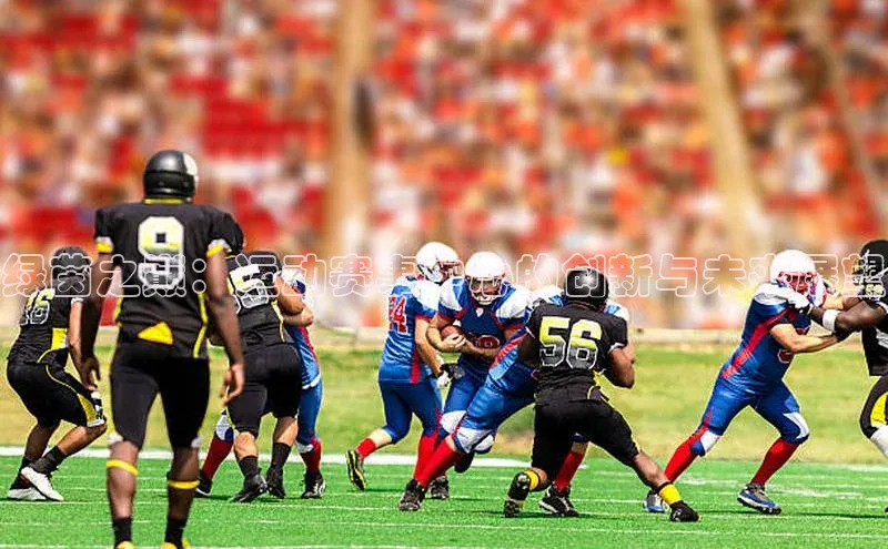 绿茵之巅：运动赛事中心的创新与未来展望