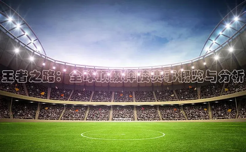 王者之路：全球顶级摔跤赛事概览与分析