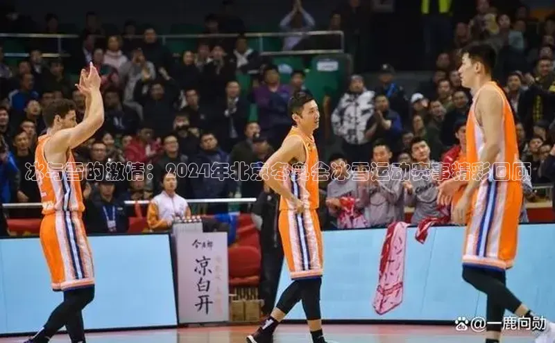 冰与雪的激情：2024年北京冬奥会冰雪运动赛事精彩回顾