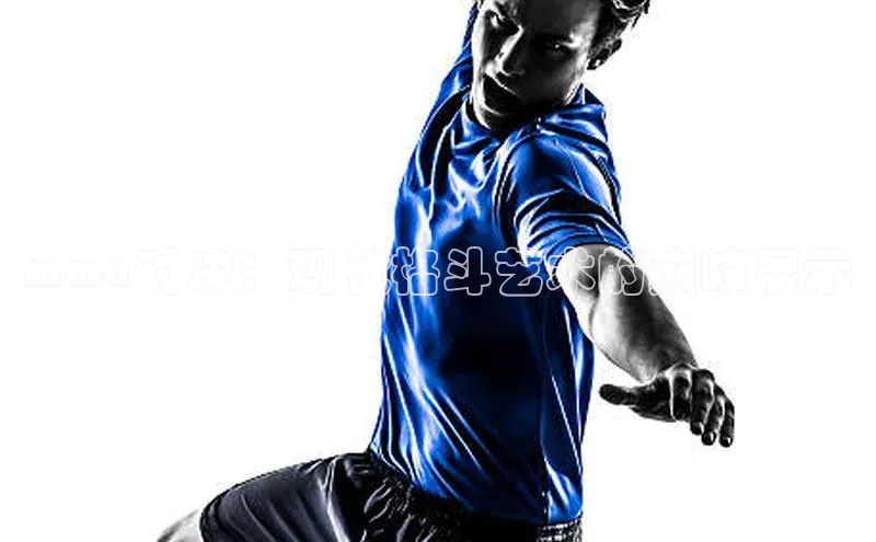 mma对决：现代格斗艺术的巅峰展示