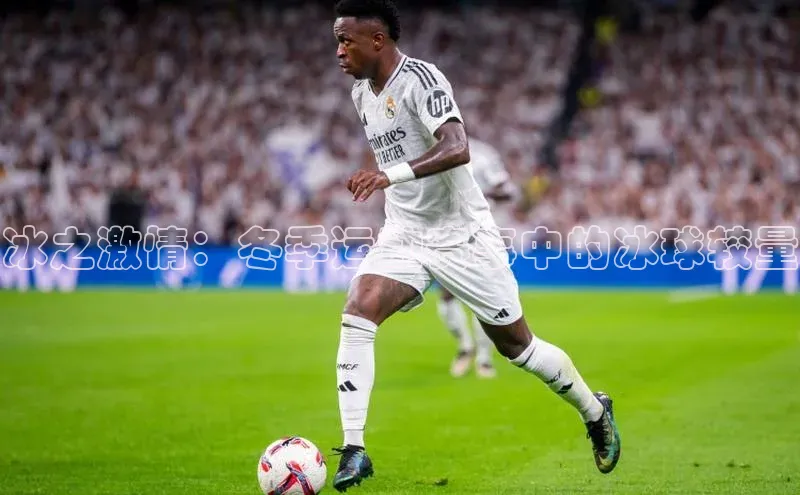 冰之激情：冬季运动赛事中的冰球较量