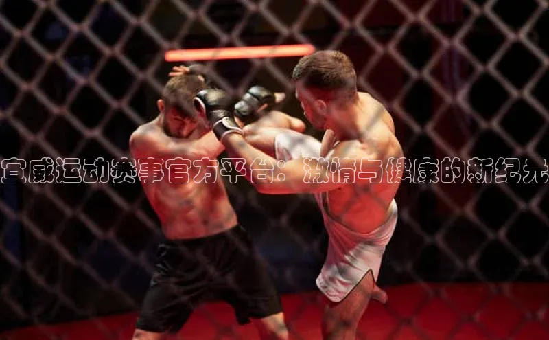 宣威运动赛事官方平台：激情与健康的新纪元