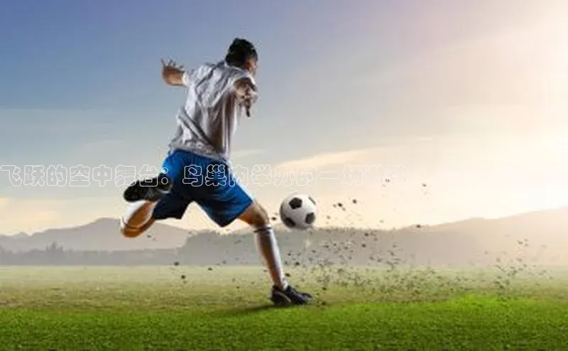 飞跃的空中舞台：鸟巢内举办的一场激动人心的运动盛宴