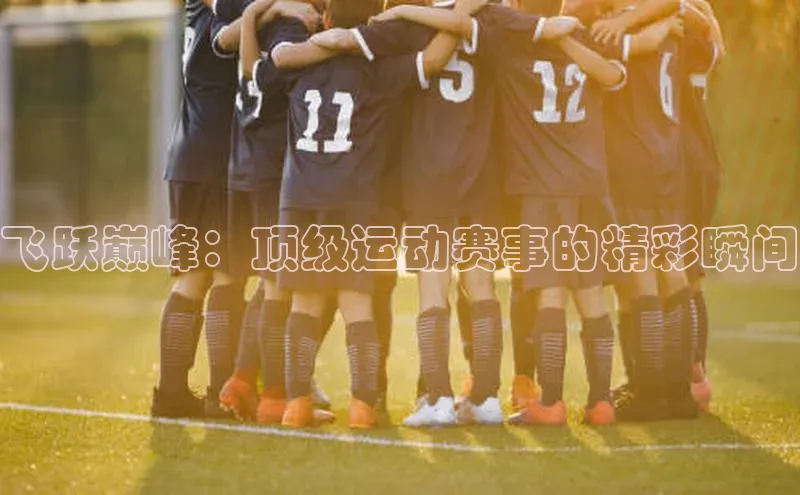 飞跃巅峰：顶级运动赛事的精彩瞬间