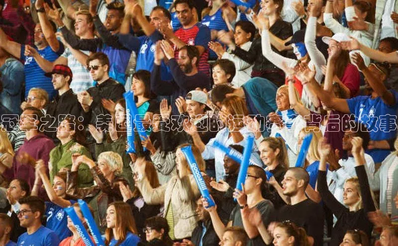 冠军之路：美国最受欢迎的运动赛事背后的故事