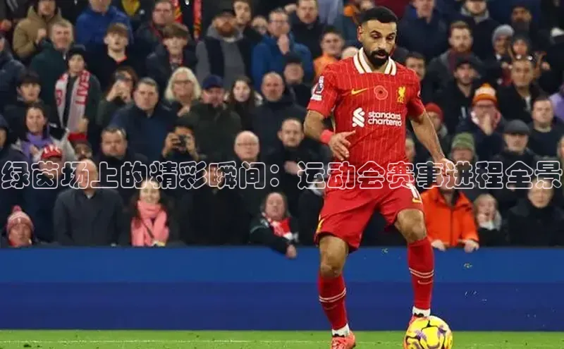 绿茵场上的精彩瞬间：运动会赛事进程全景