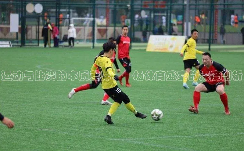 运动与比赛的本质差异：一场体育盛宴的深度剖析