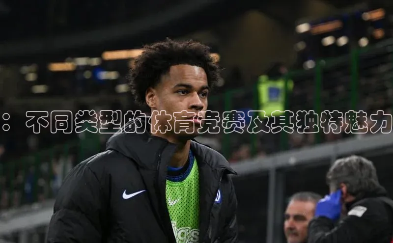 ：不同类型的体育竞赛及其独特魅力