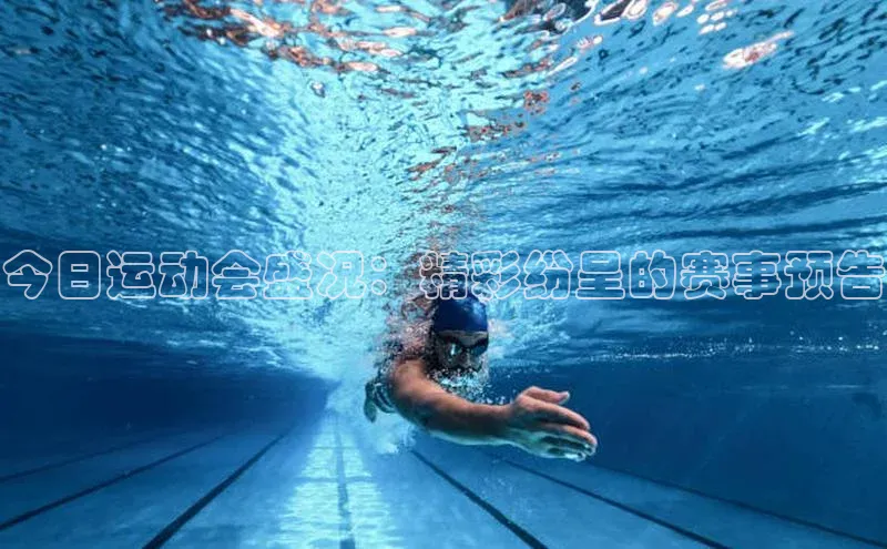 易游app官网登录入口