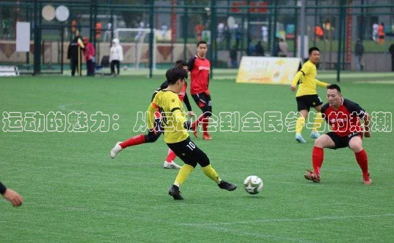 运动的魅力：从运动会到全民参与的热潮